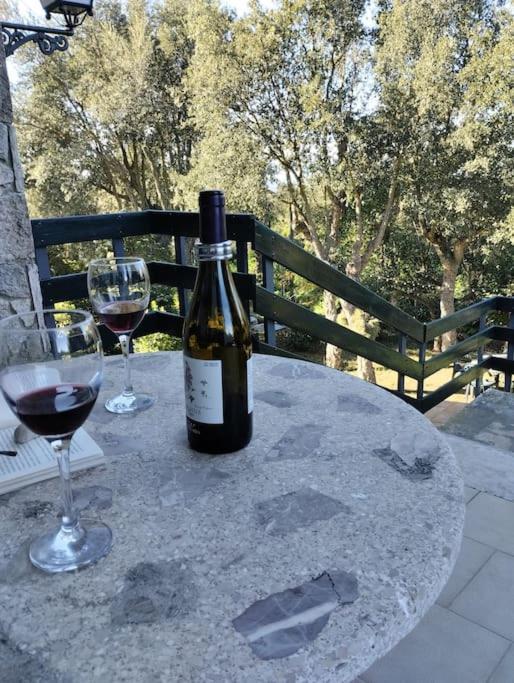 Вілла Casa De Camp Prop De La Costa Brava Romanya de la Selva Екстер'єр фото